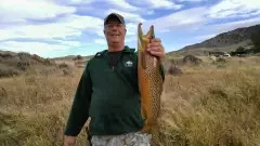 October browns in Wyoming