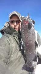 Giant colorado rainbow