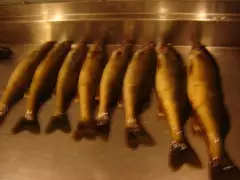 deerrhorn lodge in august 2015