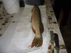 second pike