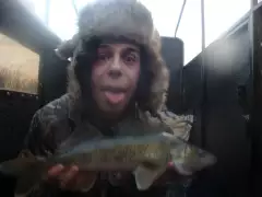 walleye
