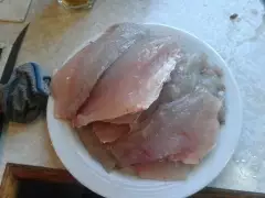 Kawau Island Snapper