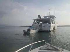 The Cannon