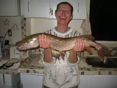 also today I got a 28.5 inch pike