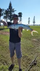 Salmon catfish
