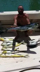 mahi