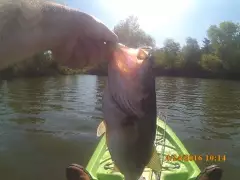 4 lbs Spring Lake, Santa Rosa, CA