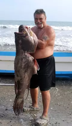 Big'ol Grouper