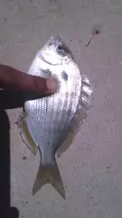 :)