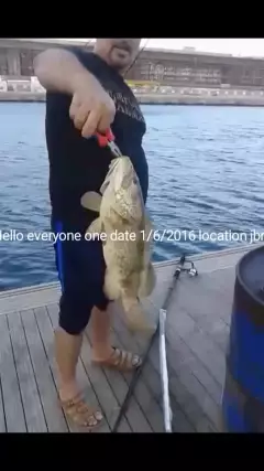 The first  my catch homor