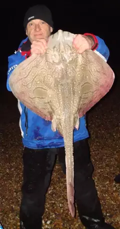 14lb 10oz Undulate Ray