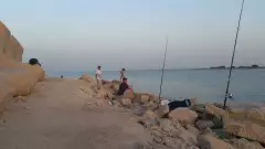 jubail port fishing time