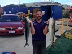 Australian salmon.