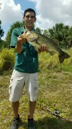 8.25Lb fatty
