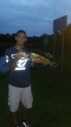 7lber