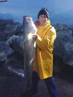 Big Mulloway