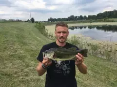 Indianapolis bass