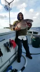 shark bay  prerth w a