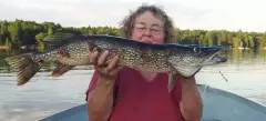Biggest Pike this year