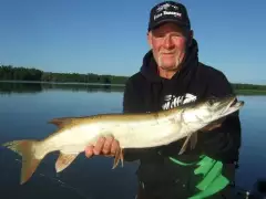muskie
