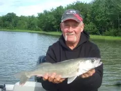 walleye