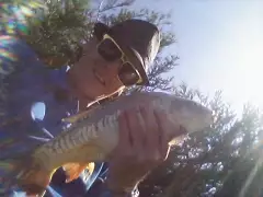 Nice little mirror