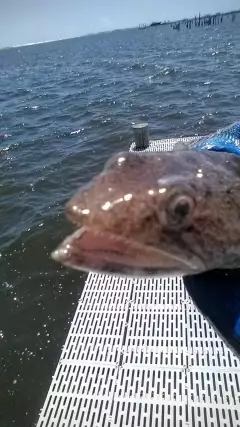 Ewwwww