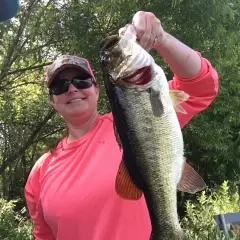 Central Florida bass