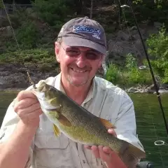 A very jumpy Bass