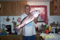 Texas Marsh Red Fish