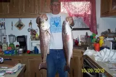 Texas Marsh Red Fish