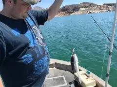 double on same lure