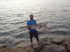 Fishing in UAE