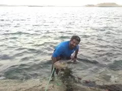 Fishing in UAE