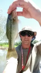 Savannah river bass
