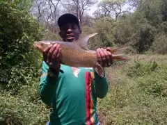 First time carp