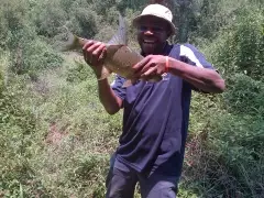 Watson with a Zambian carp