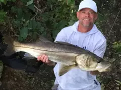 38" snook