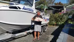 75cm snapper