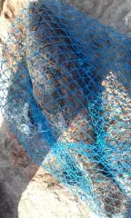 MARINA MALL BREAKWATER FISHING 14Oct2016