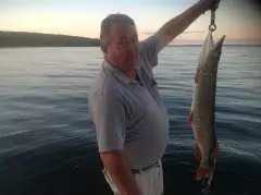 16 lb pike