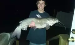 Rare Monster Cat