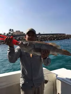 Abu Dhabi fishing!