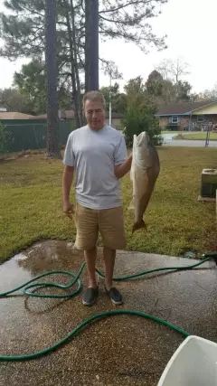 Redfish