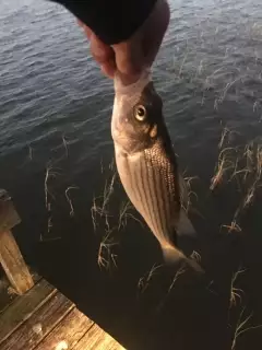 Great fishing