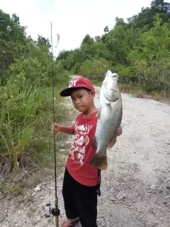 Friendly barra