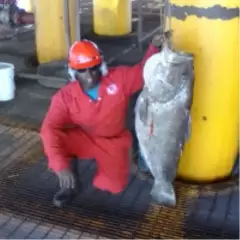 Working Offshore