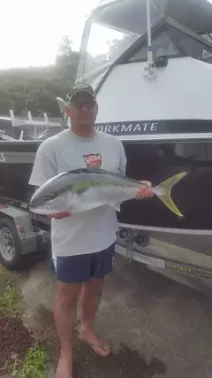 Kingfish