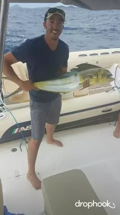 Dinner for days