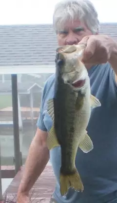 Backyard fishing